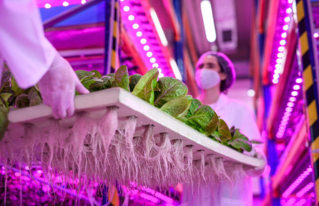 Side view workers with face mask aquaponic farm sustainable business coronavirus (1)