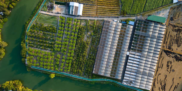 High angle vision of vegetable greenhouse High angle vision of vegetable greenhouse