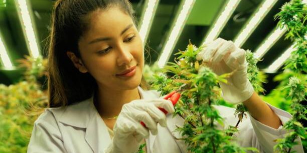 Istockphoto 1472963698 612x612